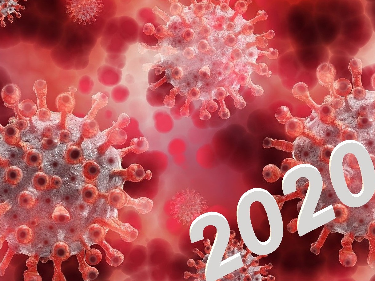 Bild zum Coronabericht 2020 mit Coronaviren